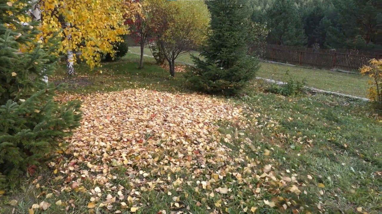 https://kemerovo.mslandshaft.ru/storage/app/uploads/public/642/ac5/f22/642ac5f2293e2935715739.jpg